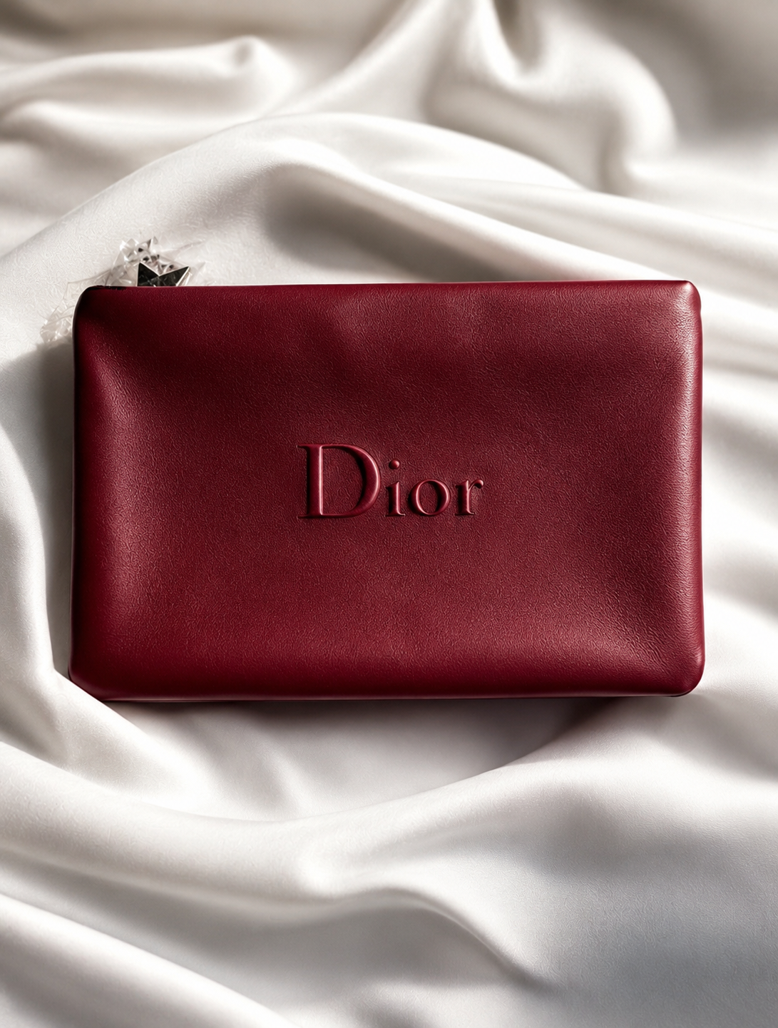 Dior Beauty Clutch